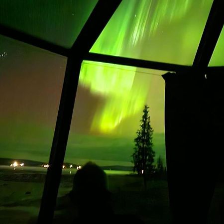 קירונה Aurora River Camp Glass Igloos & Cabins מראה חיצוני תמונה